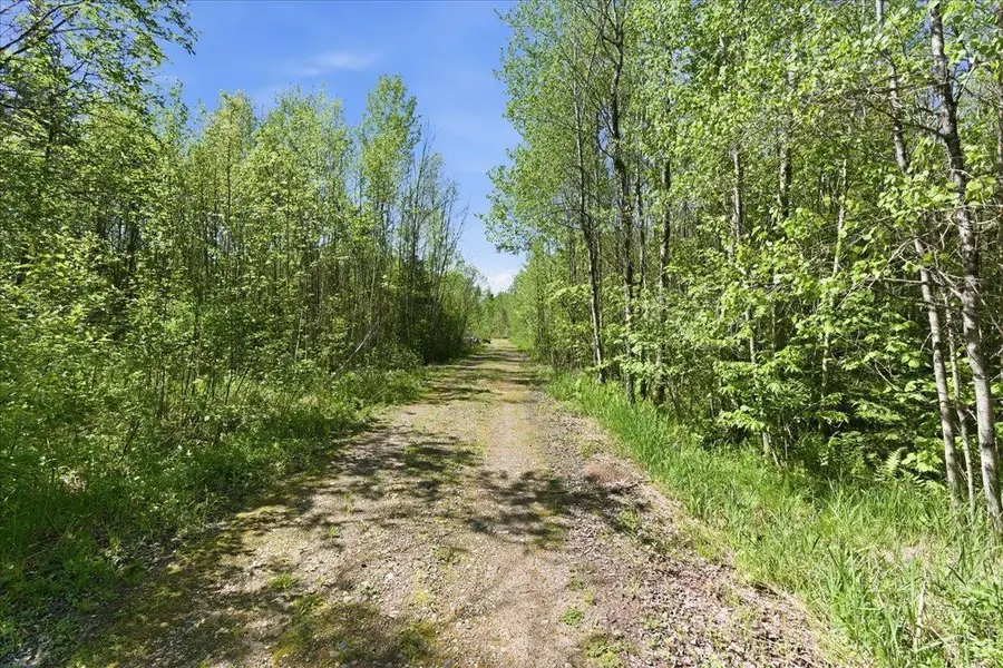 0 County Highway J, Deerbrook, WI 54424 - #2