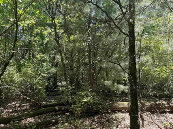 5.01 Acre 8th Avenue, Wisconsin Dells, WI 53965