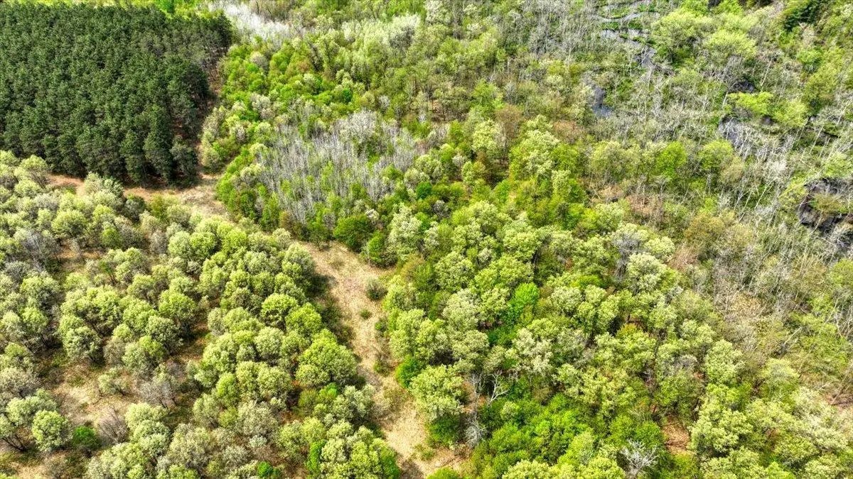 Lot 14 W 6th Drive, Hancock, WI 54943 - #1