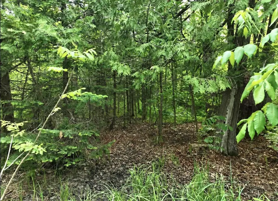 Lot 1 Chris Baum Lane, Argonne, WI 54511 - #3