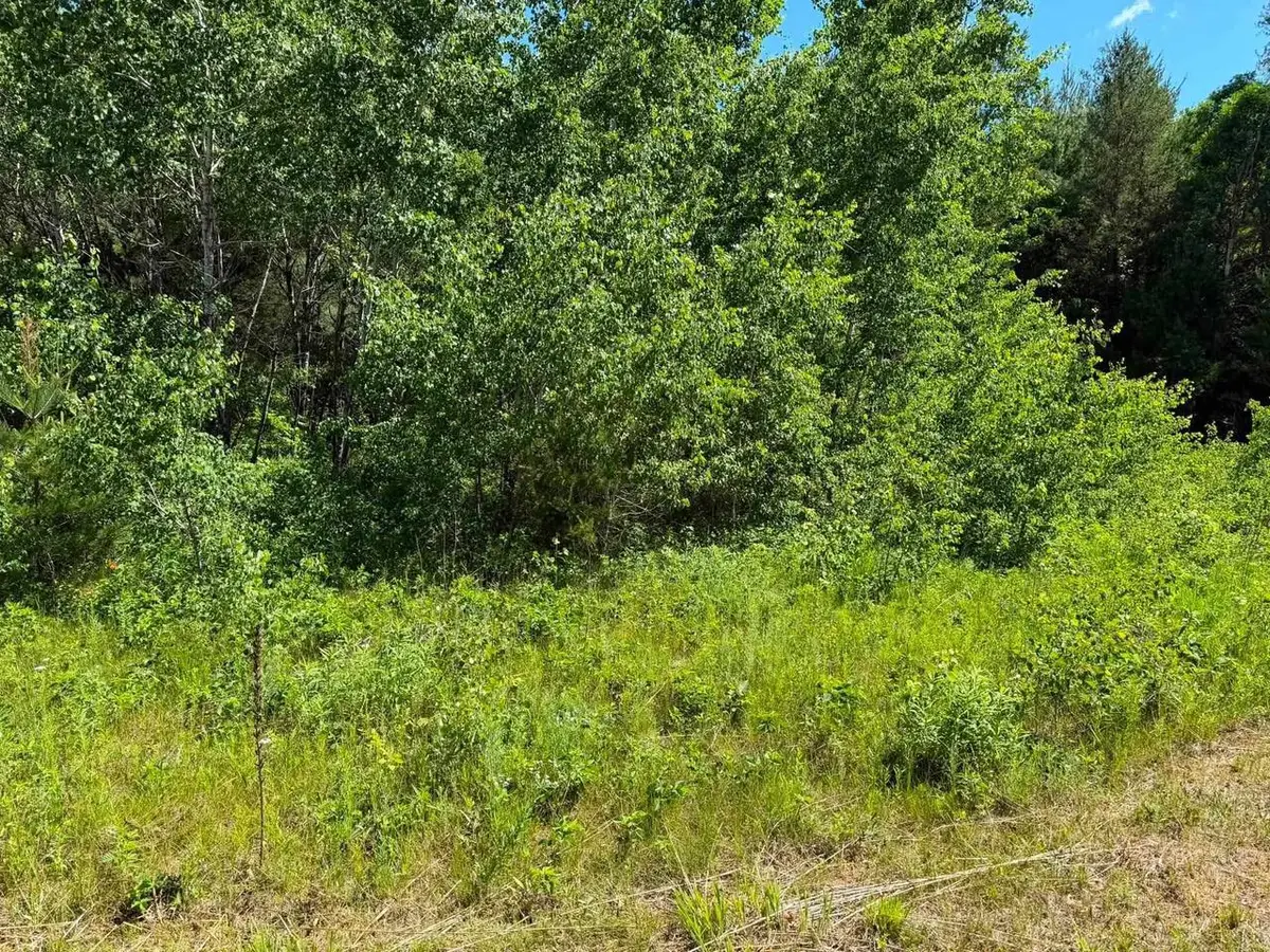 2.5 Acres County Road C, Arkdale, WI 54613 - #1