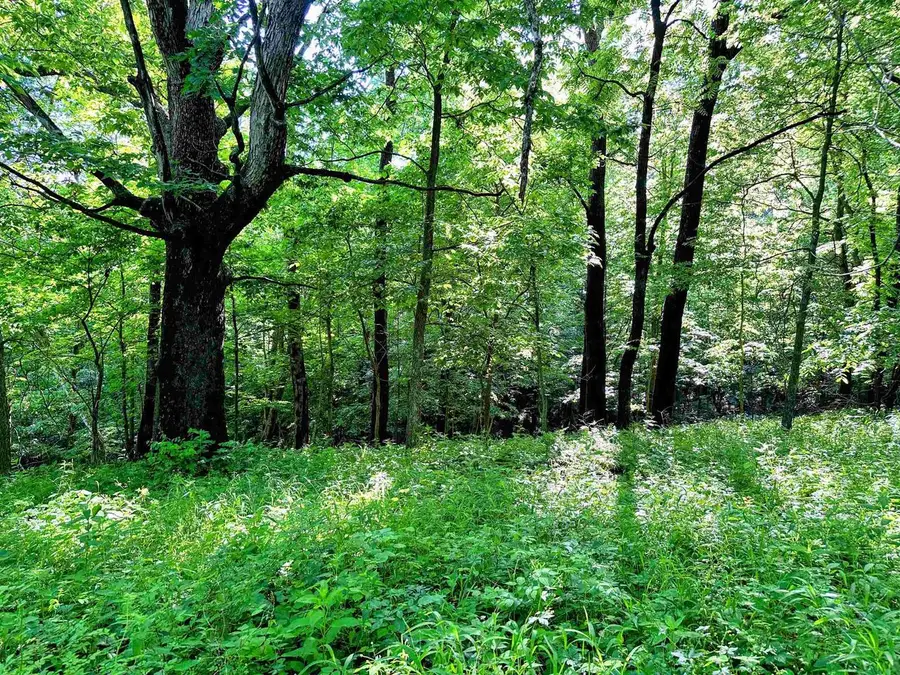 26 acres +/- Tanglewood Drive, McGregor, IA 52157 - #2