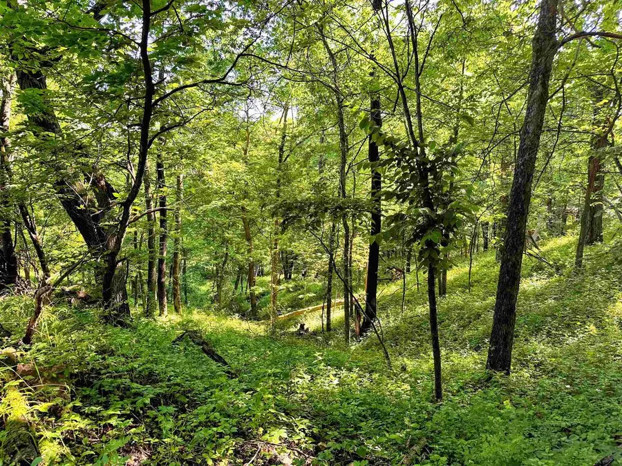 26 acres +/- Tanglewood Drive, McGregor, IA 52157 - #3