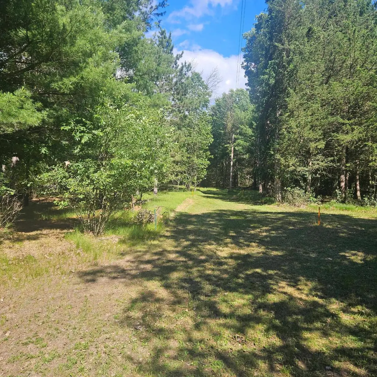 Lot 1 Woodland Avenue, Montello, WI 53949 - #1