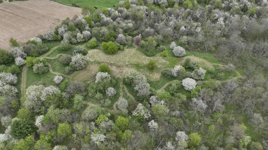 13704 County Hwy I, Viola, WI 54664 - #3