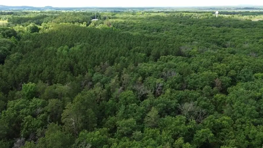 Lots 26-29 W Limits, Lyndon Station, WI 53944 - #3