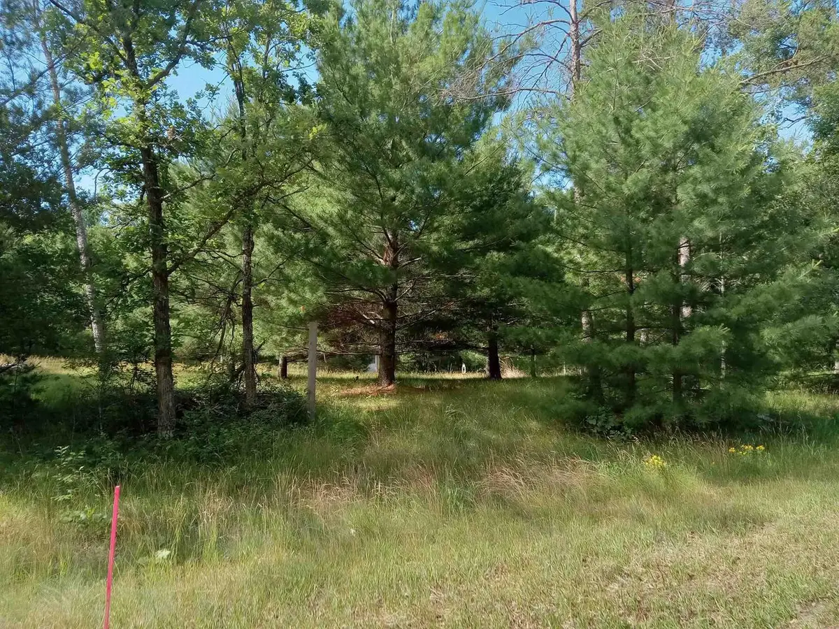 1673 Campfire Road, Nekoosa, WI 54457 - #1