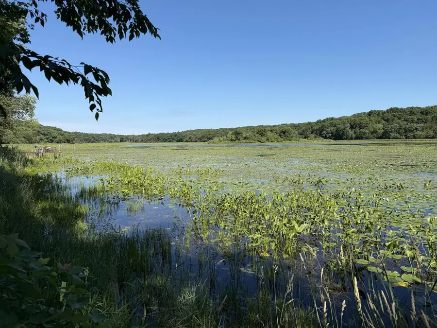 Lots 47-50 W Lakeshore Drive, Elkhorn, WI 53121 - #2