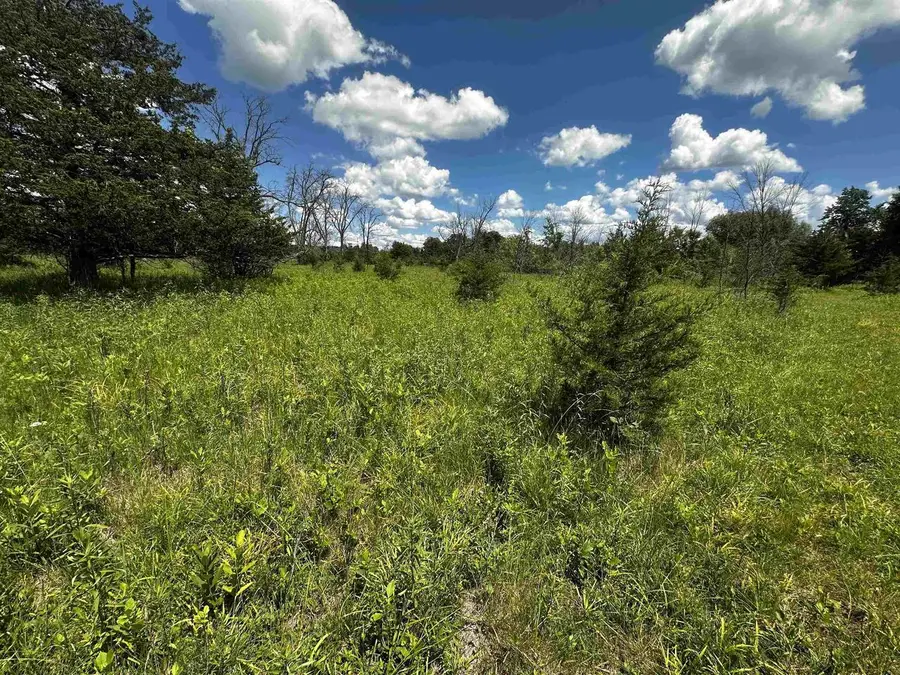 W Pioneer Park Road, Westfield, WI 53964 - #3