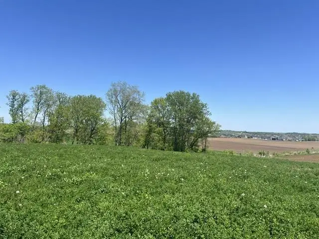 L4 Ervins Way, Waunakee, WI 53597 - #2
