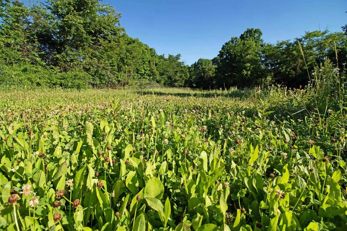 76 acres Skyline Road, Blue River, WI 53518 - #1