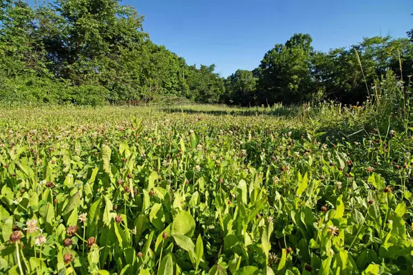 76 acres Skyline Road, Blue River, WI 53518