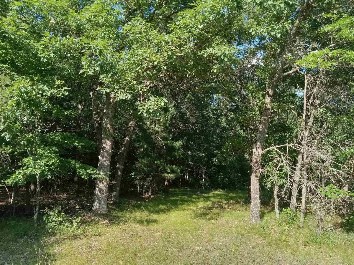 542 Feather Trail, Nekoosa, WI 54457 - #1