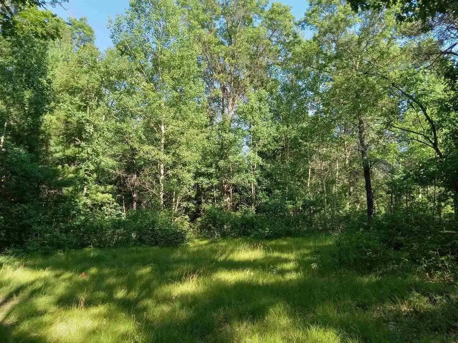 542 Feather Trail, Nekoosa, WI 54457 - #3