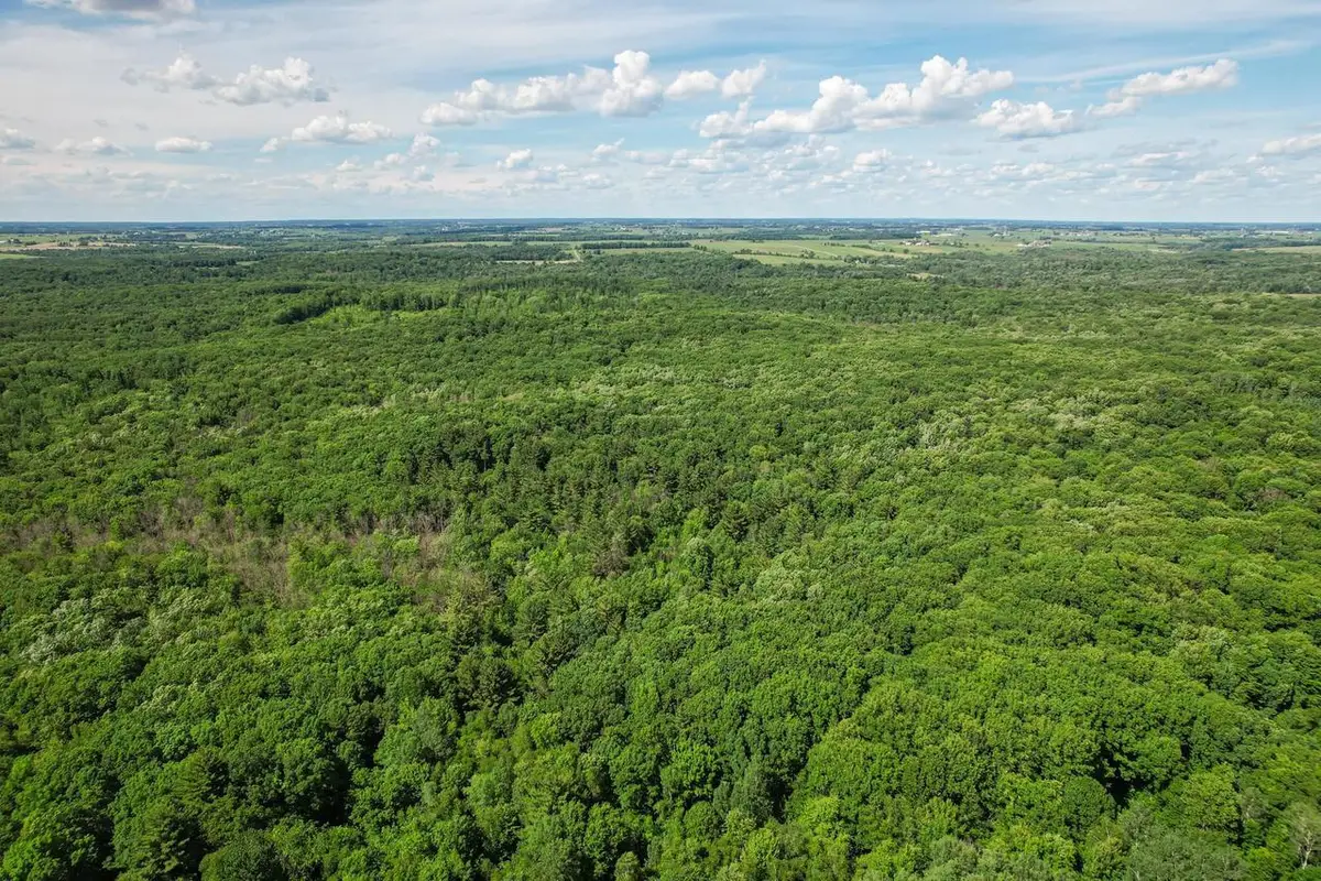 0000 Cloverdale Road, Thorp, WI 54771 - #1