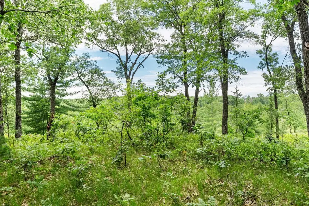 41.13 Acres 9th Court, Grand Marsh, WI 53936 - #1