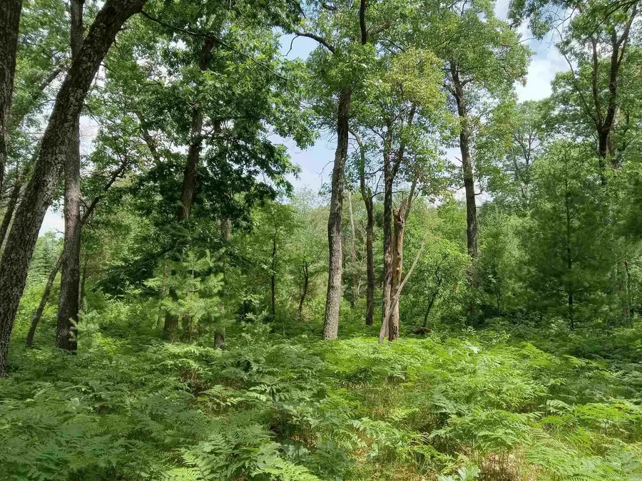 1186 Arrowhead Trail, Nekoosa, WI 54457 - #2
