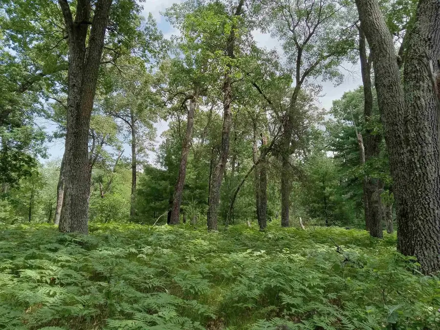 1186 Arrowhead Trail, Nekoosa, WI 54457 - #3