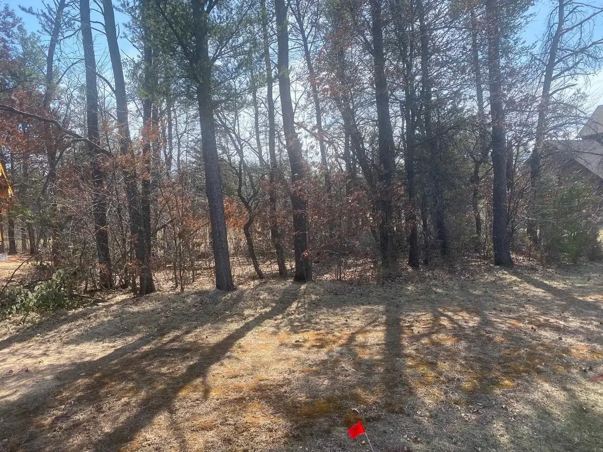 294 LAKE SHORE Drive, Lake Delton, WI 53965 - #1