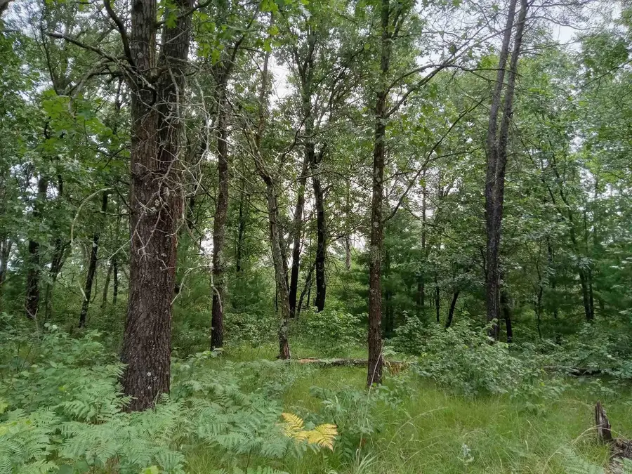 467 St Andrews Trail, Nekoosa, WI 54457 - #3