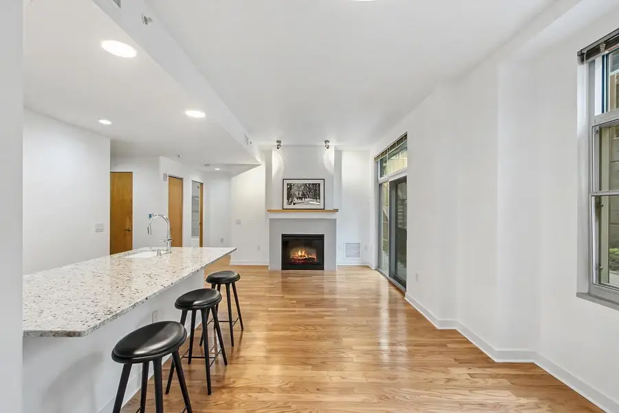 309 W Washington Avenue #102, Madison, WI 53703 - #3