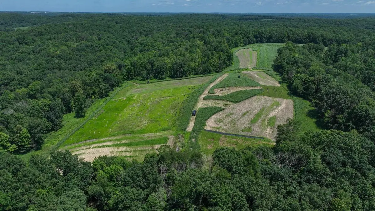 77.85 AC Pine Avenue, Hillsboro, WI 54634 - #1
