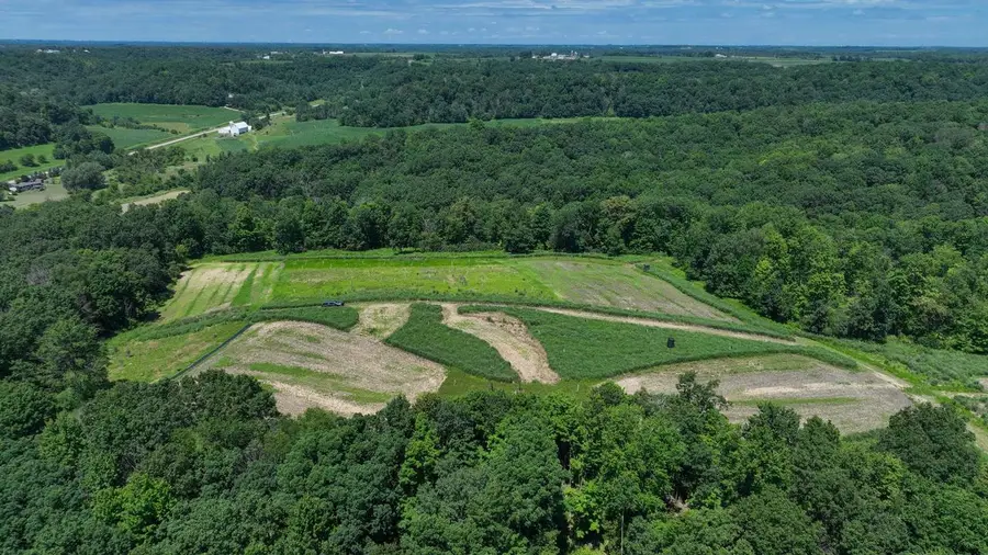 77.85 AC Pine Avenue, Hillsboro, WI 54634 - #2