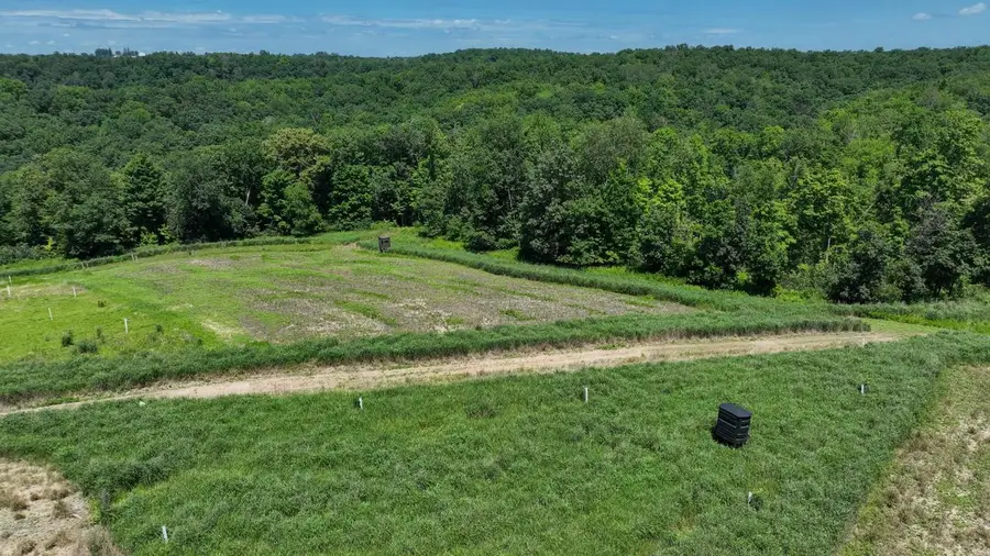 77.85 AC Pine Avenue, Hillsboro, WI 54634 - #3
