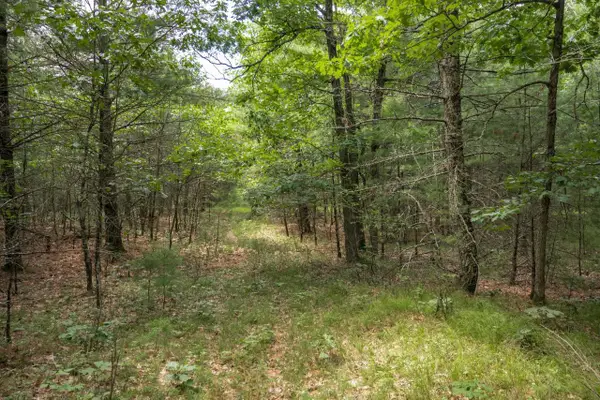 1617 20th Avenue, Arkdale, WI 54613