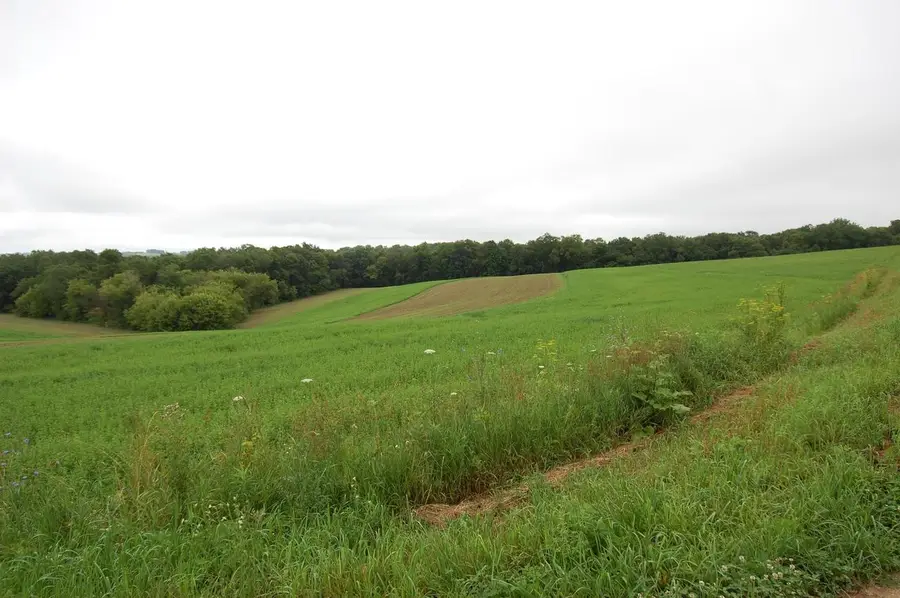 999 Halverson Ridge Road, Soldiers Grove, WI 54655 - #2