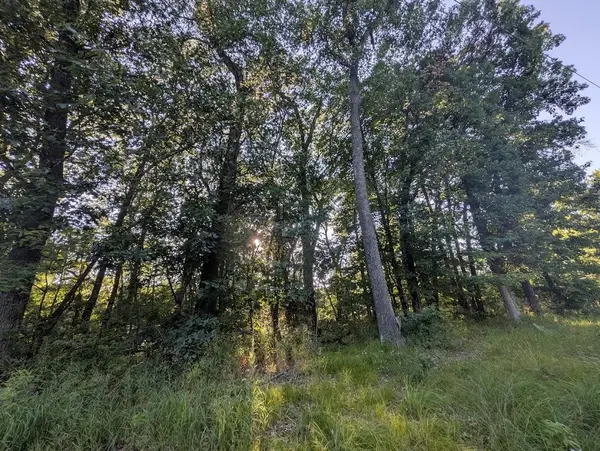 0 6th Avenue, Grand Marsh, WI 53936