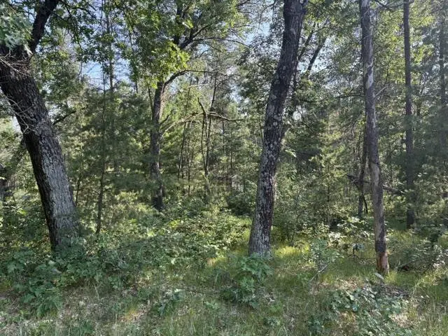 1173 Arrowhead Trail, Nekoosa, WI 54457 - #3
