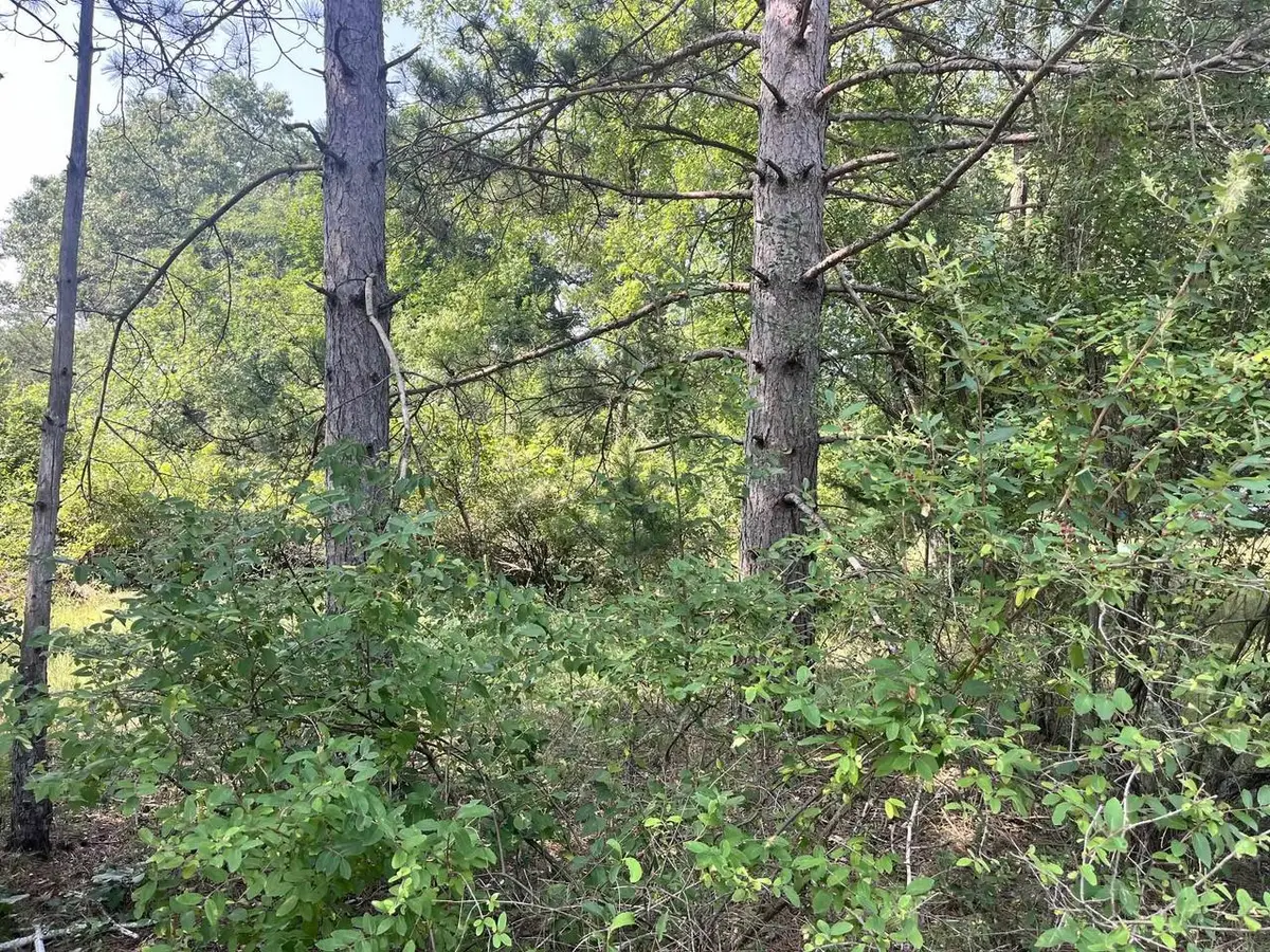 Lot 16 S Czech Court, Friendship, WI 53934 - #1