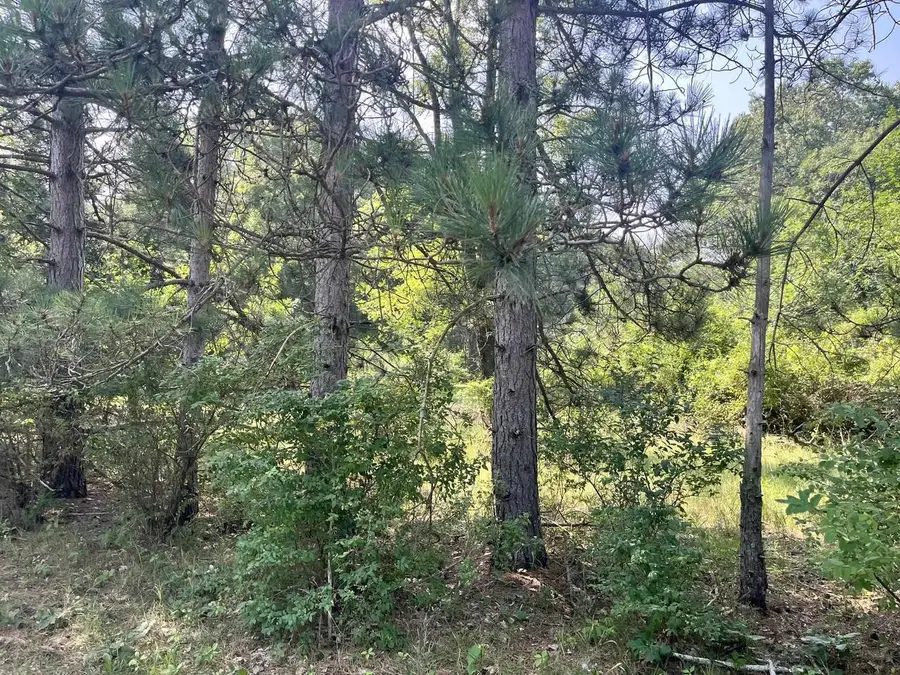 Lot 16 S Czech Court, Friendship, WI 53934 - #2