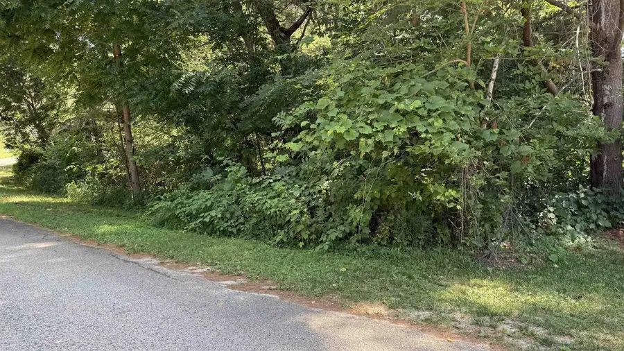 .27 Acre Lot Gem Court, Wisconsin Dells, WI 53965 - #3