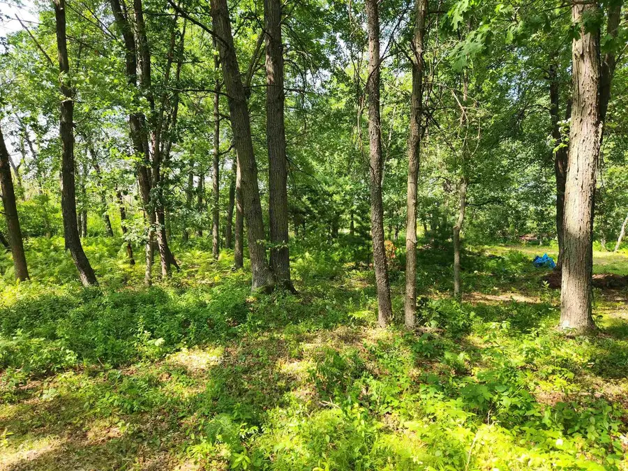 State Road 21 Road, Redgranite, WI 54970 - #3