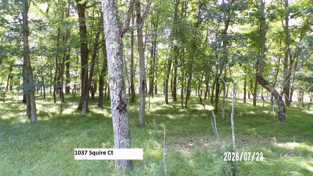 1037 Squire Court, Nekoosa, WI 54457 - #1