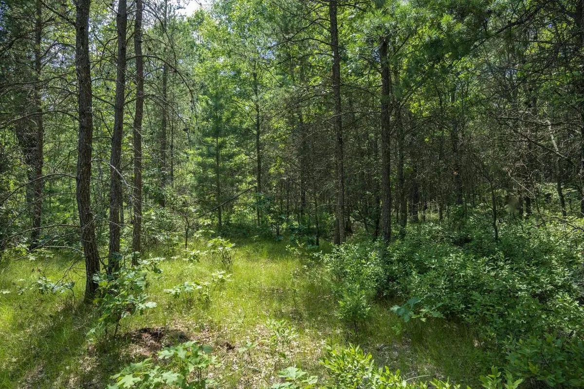 Lot 5 17th Street, Necedah, WI 54646 - #1