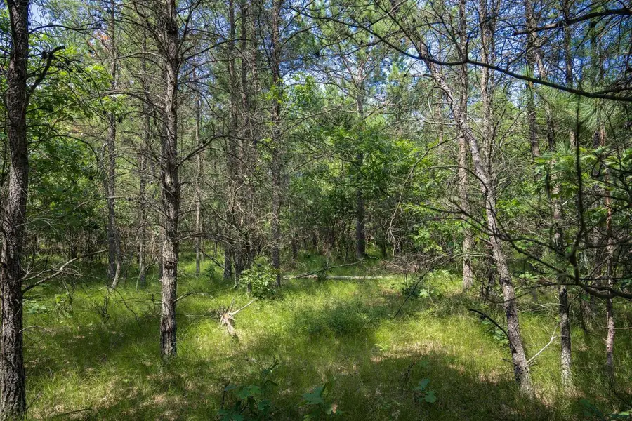 Lot 5 17th Street, Necedah, WI 54646 - #3