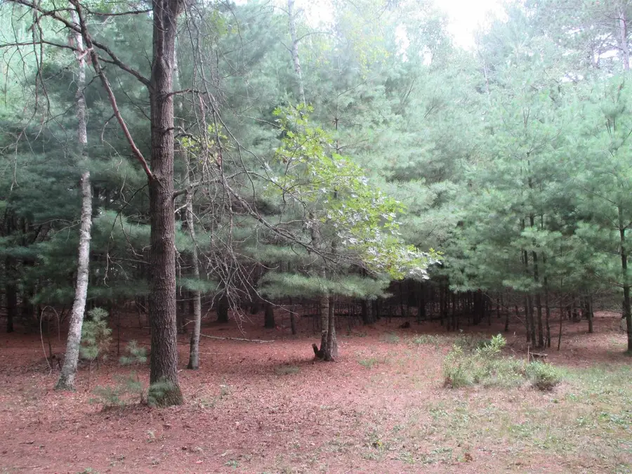 W5682 Meiller Road, Montello, WI 53949 - #2