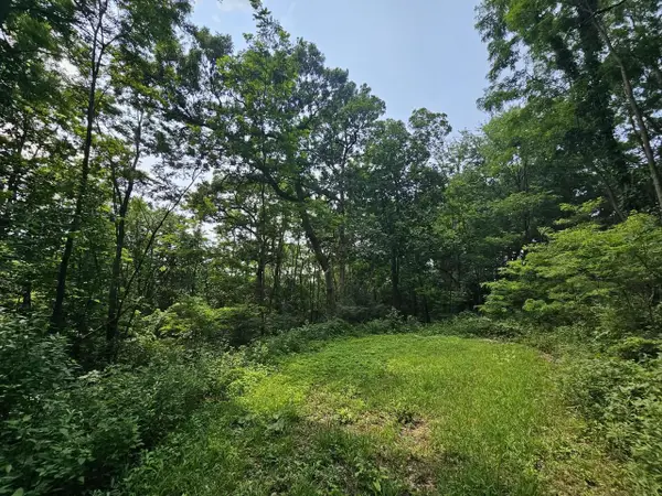 65864 Chandler Road, De Soto, WI 54624