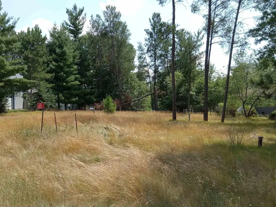 859 Richmond Way, Lake Camelot, WI 54459 - #2