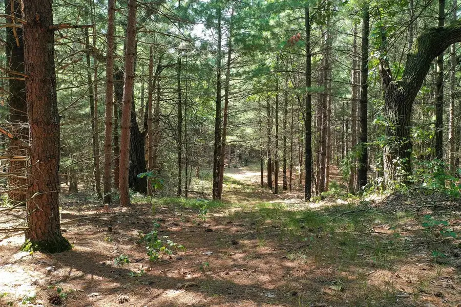 79 +/- Acres Hwy 14, Spring Green, WI 53588 - #3