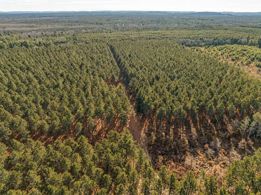 78 Acres County Road K, Wisconsin Dells, WI 53965 - #3