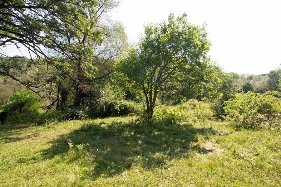 40 Acres County Hwy H, Ridgeway, WI 53582 - #2