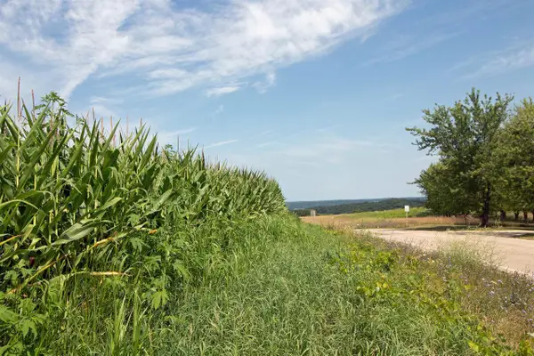 13.2 Acres County Hwy H, Ridgeway, WI 53582