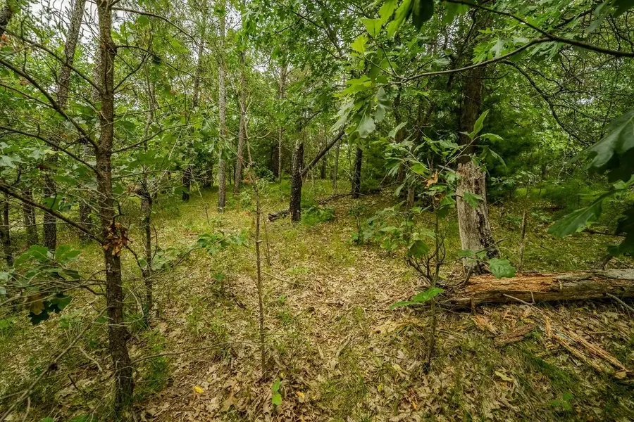222 Marsh Lane, Warrens, WI 54666 - #3