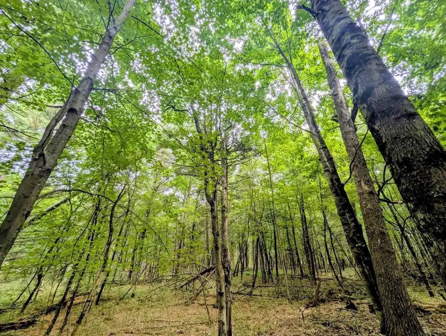 0 County Road C, Arkdale, WI 54613 - #3