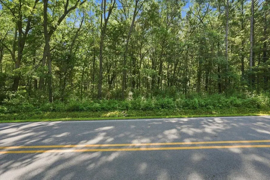 Lot 1 CSM 17038 -Timber Lane, Verona, WI 53593 - #3