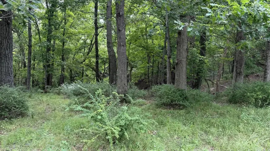 13 Dakota Ridge Road, Baraboo, WI 53913 - #2